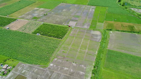 Wide-Rotating-Aerial-Shot-Of-Different-Farm-Lots