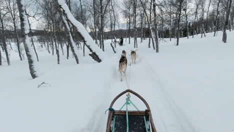 Ein-Team-Von-Schlittenhunden,-Die-Einen-Schlitten-Durch-Eine-Verschneite-Landschaft-Ziehen,-Point-of-View-Action-Kamera,-Zeitlupe