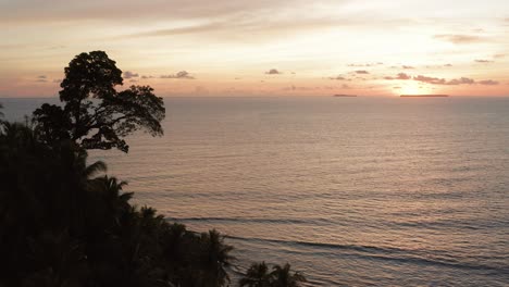Aerial-flight-towards-tree-silhouette-in-golden-Indonesian-ocean-horizon-sunset