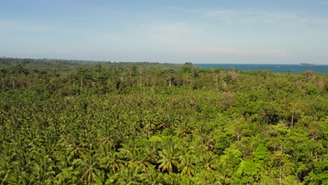 Luftneigung-Enthüllen-Den-Flug-Des-üppigen-Grünen-Dschungels-Auf-Der-Tropischen-Insel-Mentawai