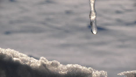 Close-shot-of-icicle-melting-on-snowy-bokeh-background,-Winter-silence-relaxation-and-meditation-concept