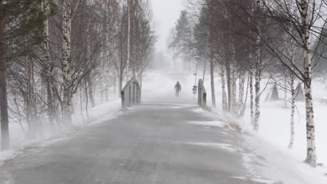 One-man-walks-on-country-road-in-white-snowstorm-and-strong-biting-wind