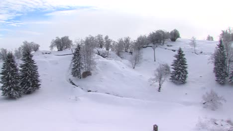 Märchenhafte-Winterlandschaft-Mit-Schnee-Und-Blauem-Himmel-An-Einem-Sonnigen-Tag,-Linke-Pfanne