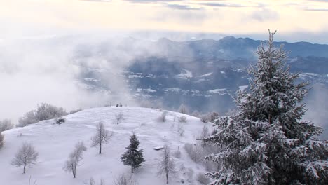 Winterlandschaft-Mit-Schneebedeckten-Hügeln,-Fichte-Im-Vordergrund-Und-Vorbeiziehendem-Dunst