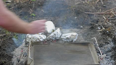 Vegetables-wrapped-in-foil-being-placed-on-a-tray-on-an-outdoor-cooking-fire