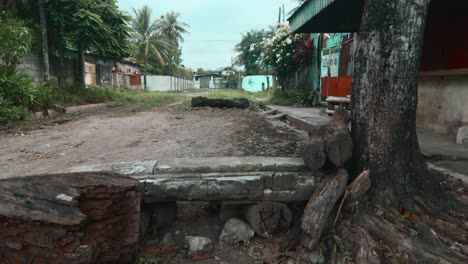 An-improvised-concrete-bench-attached-to-a-tree-blocks-the-dirt-road-of-a-quiet-suburbs-in-Cadiz-City,-Negros-Occidental,-Philippines