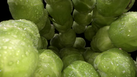 Brussels-sprouts