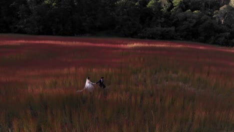 Newlyweds-crossing-a-pink---green-field-at-twilight,-wide-side-angle