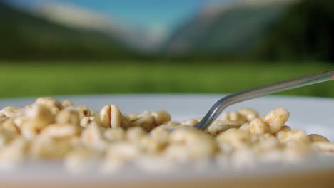 Detail-shot-of-a-spoon-scooping-grabbing-Cereals-on-bowl-in-slow-motion-on-a-sunny-day-Extreme-close-up