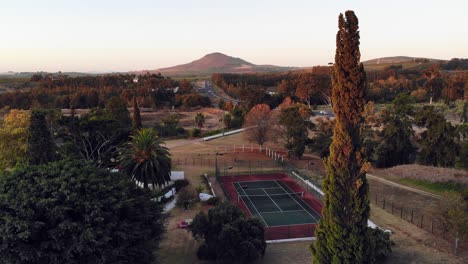 Aerial-rising-over-tennis-court-and-pine-tree