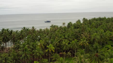 Jungle-Reveal-Boat-Mentawai-Indonesien