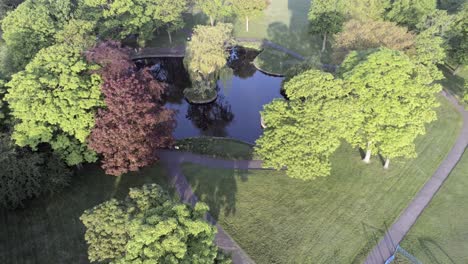 Deserted-peaceful-public-park-aerial-view-of-lush-lake-garden-above-treetop-rising-tilt-down