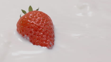 Frische-Erdbeeren-Tauchen-In-Saubere-Milch-Und-Schwimmen-An-Der-Oberfläche