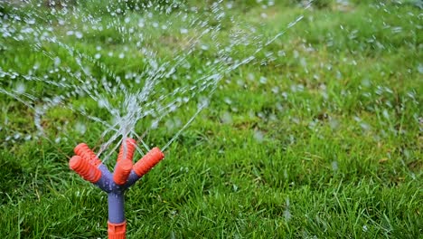 Statische-Ansicht,-Drehung-Des-Automatischen-Kunststoff-Gartenwassersprühers-Des-Pulverisierers-Mit-Fünf-Düsen