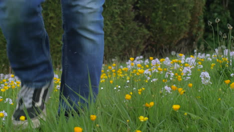 Person-walks-toward-camera-colorful-meadow-of-wild-flowers,-low-angle
