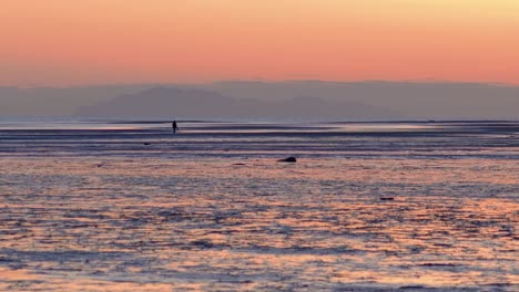Person-Geht-Am-Strand-In-Leuchtend-Orangefarbenem-Sonnenuntergang,-Richmond,-Britisch-Kolumbien