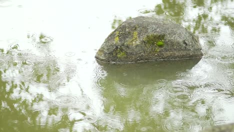Lluvia-Golpeando-La-Superficie-Del-Agua-En-El-Lago-En-Nara,-Japón---Cámara-Lenta