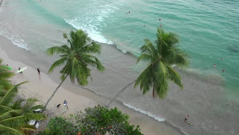 palm-trees-in-hiriketiya-beach-as-seen-from-above