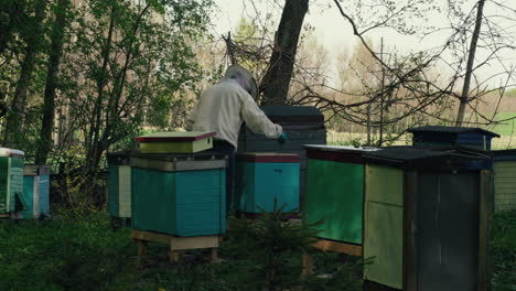 Beekeeper-Inspects-Bee-Hives-in-full-Mask-and-Suit-during-a-sunny-day