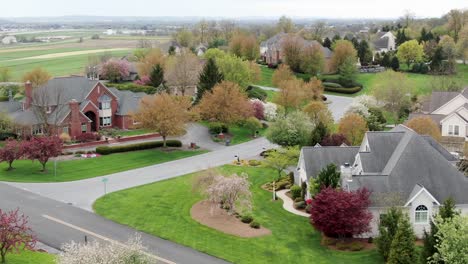 Upscale-community,-wealthy-homeowner-gated-community,-aerial-of-blooming-trees-in-spring
