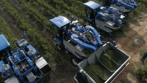 Drohnenaufnahmen-Von-Traktoren,-Die-Trauben-In-Einem-Weinberg-Am-Westkap-Von-Südafrika-Ernten