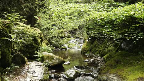 Beautiful-stream-at-the-Edelfrauengrab-Waterfalls-in-the-Black-Forest,-Germany