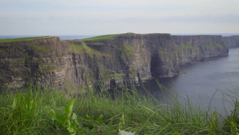 Wind-blows-grass-scenic-view-at-cliffs-of-moher-with-a-rack-focus-from-grass-to-cliffs,-Ireland