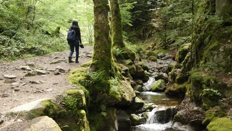 Frau-Beim-Wandern-Auf-Einem-Pfad-Entlang-Des-Baches-An-Den-Edelfrauengrab-Wasserfällen-Im-Schwarzwald,-Deutschland