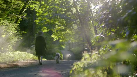 Mädchen-Zu-Fuß-Hund-Auf-Feldweg-Im-Wald-Mit-Sonneneruption-Zwischen-Ästen-Vorbei