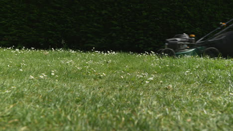 Medium,-slider-shot-of-a-man-mowing-the-grass-on-a-sunny-day