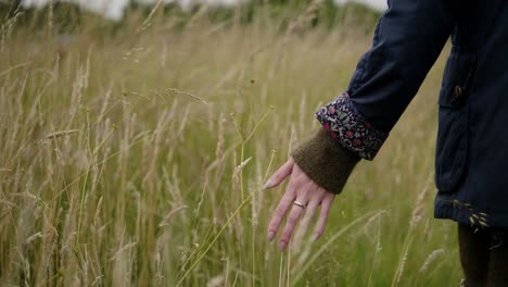 Slow-Motion-Dolly-In-Young-Girl-Hand-Touching-Organic-Wheat-Field