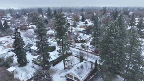 Aerial-view-of-tall-evergreen-trees-in-a-suburban-neighborhood-after-fresh-snow