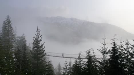 Excursionista-Femenina-Caminando-Por-El-Puente-Colgante-Entre-Las-Copas-De-Los-árboles-En-El-Día-De-La-Niebla