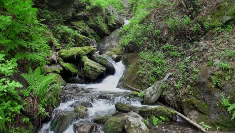Relaxing-footage-of-a-small-waterfall-flowing-between-mossy-ground-and-green-fern-plants-and-trees-in-a-gorge-in-summer