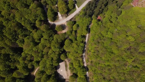 Mountain,-green-forest-in-spring,-hotels-and-lake-taken-from-drone