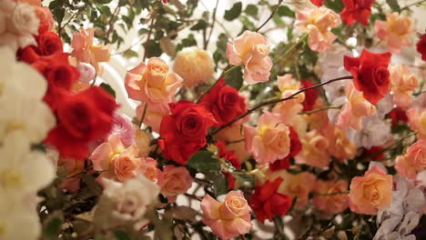 Arreglo-Floral-Con-Rosas-Rojas,-Blancas-Y-Melocotón,-Toma-Panorámica