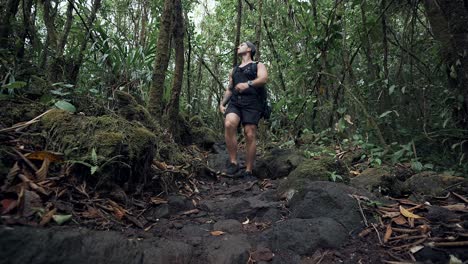 Outdoor-adventure-hike---Costa-Rica-jungle---Low-angle-shot