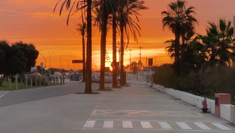 Lonely-palm-trees-at-sea-and-dramatic-sunset-on-the-empty-beach-parking,-marginal-road,-Carcavelos