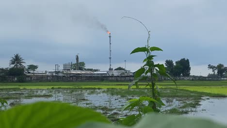 Kailashtilla-Gas-Field-Plant-Seen-Burning-Orange-Flame-In-Background
