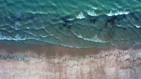 Bird's-eye-aerial-drone-view-of-ocean-waves-crashing-into-sand-on-Well-beach-near-Joao-Pessoa,-Brazil-on-a-warm-summer-day