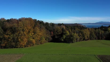 Antena-Sobre-Campo-Verde-Con-Colores-De-Principios-De-Otoño-Hacia-El-Tranquilo-Lago-De-Agua-Dulce-Chiemsee-En-Baviera,-Alemania