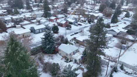 Disparo-De-Drone-Empujando-A-Través-De-Los-árboles-Para-Revelar-Un-Vecindario-Cubierto-De-Nieve-Fresca
