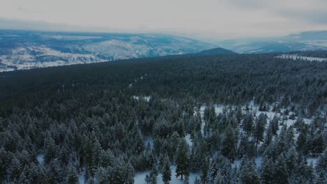 Weites-Panorama-Der-Wälder-Rund-Um-Clinton,-BC,-Kanada,-Umgeben-Von-Schneebedeckten-Bergen-In-Der-Nähe-Des-Rastplatzes-Big-Bar-Am-Cariboo-Highway-1