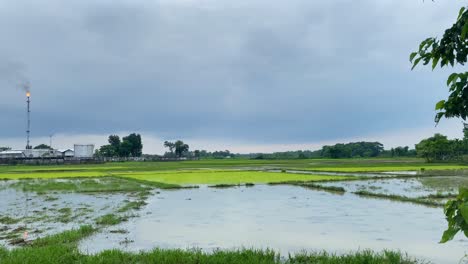 Slow-Pan-Left-View-Across-Flooded-Rice-Paddy-Fields-With-View-Of-Kailashtilla-Gas-Field-Plant-Seen-Burning-Orange-Flame-In-Background