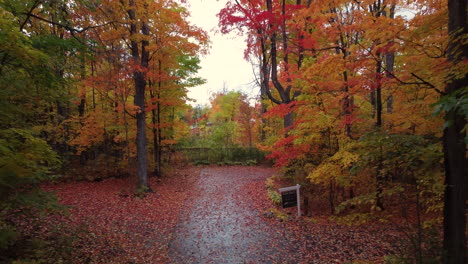 Bewegung-Durch-Den-Wunderschönen-Herbstfarbenen-Wald-Des-Provinzparks,-Kanada,-Sichtaufnahme
