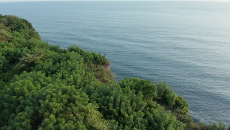 Drone-flying-over-cliff-covered-in-green-forest,-revealing-tall,-steep-coastline,-dark-blue-water-and-rocky-beach