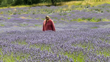 Side-Profile-of-Woman-Walking-through-Purple-Lavender-Field-Wearing-Pink-Jacket