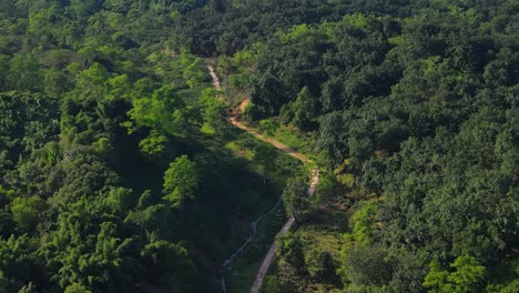 Aerial-view-of-rural-path-goes-through-hilly-forest-in-Bangladesh,-Sylhet