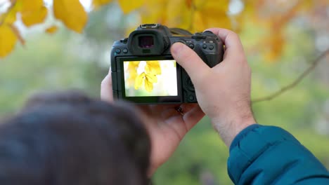 Mann,-Der-Im-Herbst-Im-Park-Mit-Der-Kamera-Fotos-Von-Gelben-Blättern-Macht