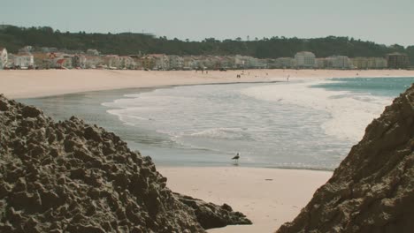Nazarè-Beach-In-Portugal,-Eine-Möwe-Läuft-Auf-Dem-Sand-Und-Wellen-Brechen-Am-Ufer-Zusammen
